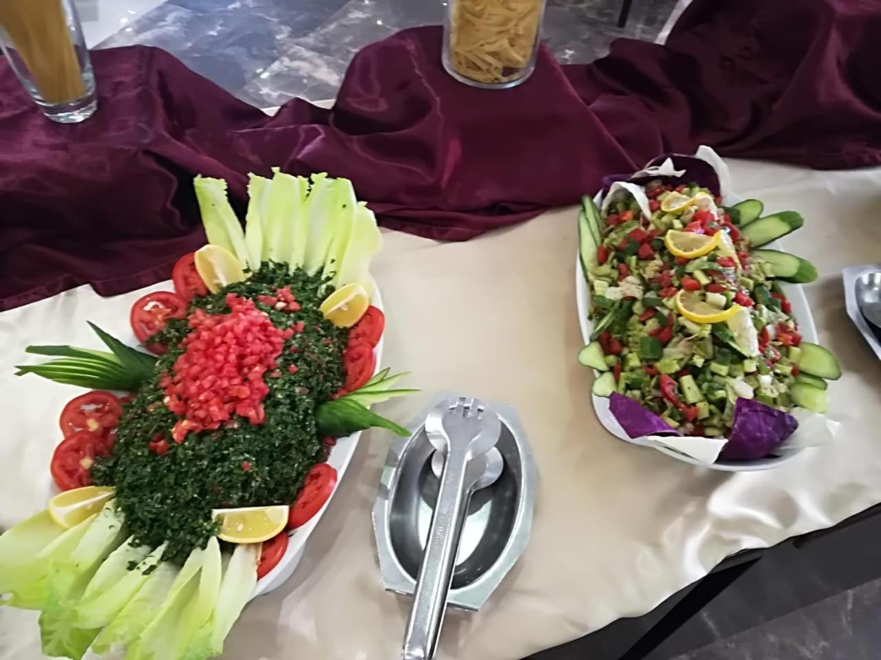 Darin Plaza Hotel 아르빌 외부 사진